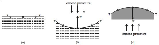 Pressure Difference Across a Liquid Surface - QS Study