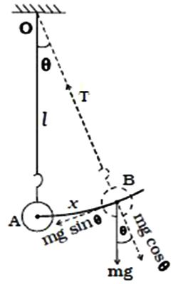oscillations of simple pendulum