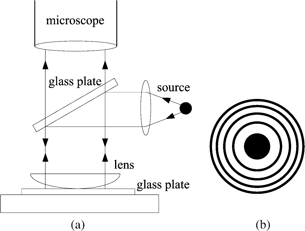 Experiment of Newton’s Rings QS Study