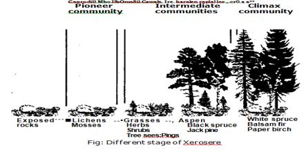 Difference between Hydrosere and Xerosere QS Study