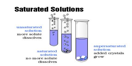Experiment: Make Saturated and Unsaturated Solutions - QS ...