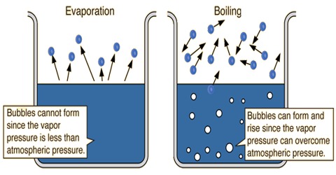 vapor pressure