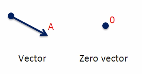 Null or Zero Vector - QS Study