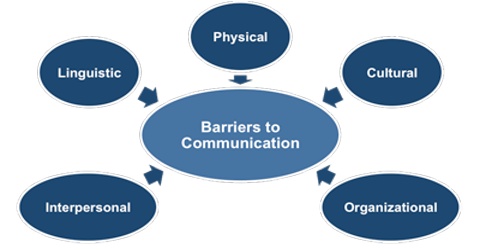 The Role of Language in Communication and