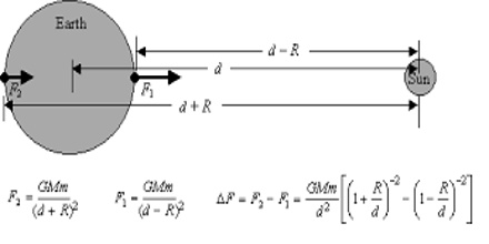 what is the value of gravitational force between earth and sun