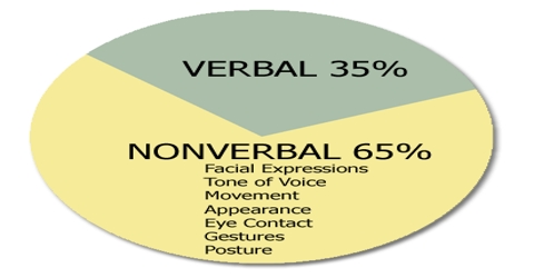 communication verbal non importance functions limitations study qsstudy
