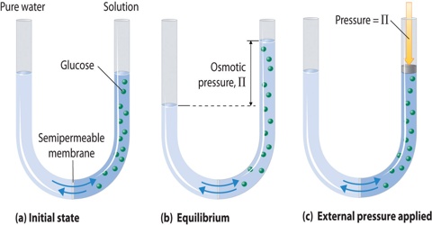 osmotic pressure definition berkeley method hartley determination chemistry explanation study