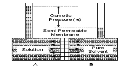 Semi Permeable Nature Of Skin Semi Permeable Nature Of Skin
