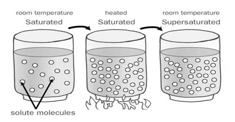Supersaturated Solution - QS Study