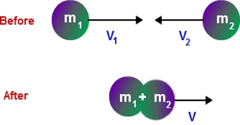 Inelastic Collision - QS Study