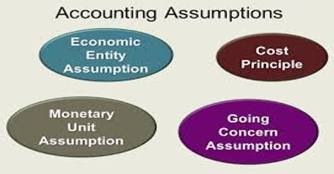 Accounting Entity Assumption - QS Study