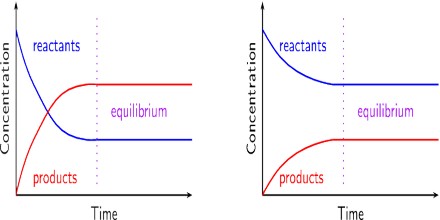 Equilibrium And The Chemical Reaction