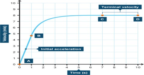 velocity terminal