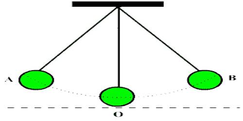 Characteristics of Periodic Motion