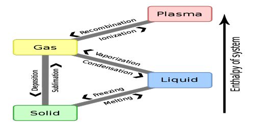 Gas-Solid Systems: Reactions Involving Several Gases