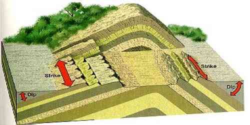 Diastrophism QS Study
