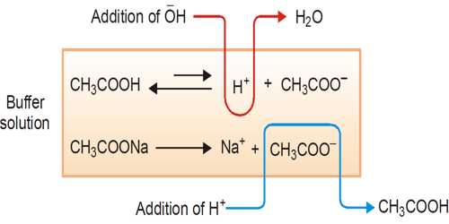 buffer solution examples
