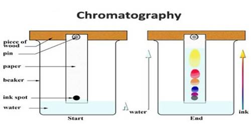 Effective Separation By Chromatography