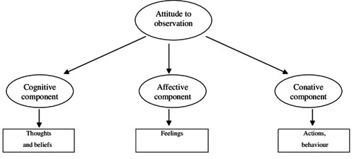 Individuals in Organizational Behavior