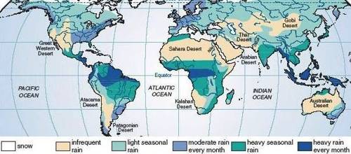 world map distribution of rainfall