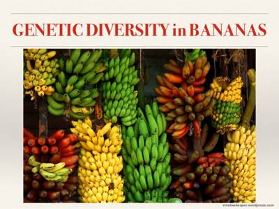 genetic diversity biodiversity conservation bananas species emedicalprep breeding importance qsstudy