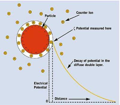 Electrical Double Layer - QS Study