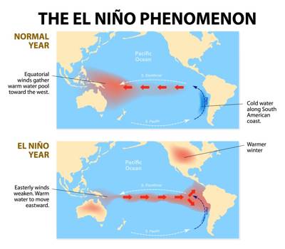 EI-Nino in the Indian Monsoon - QS Study