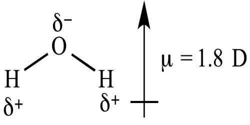 Dipole Moment and Molecular Structure - QS Study