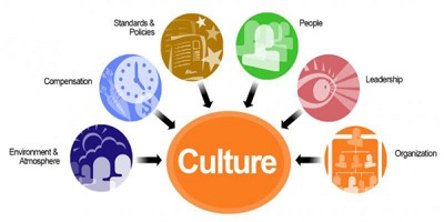culture cultural aspects study studies fig