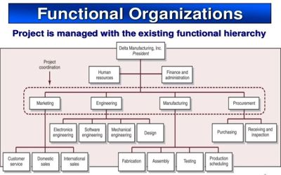 Functional Organizational Structure of Project Organization ...