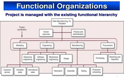 Example Of Functional Organizational Chart