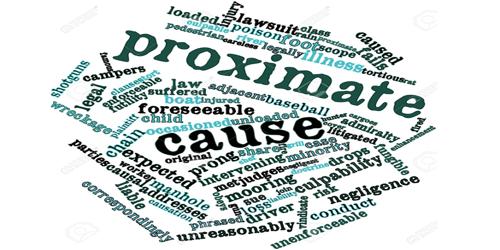 What are the certain rules of determining the Proximate