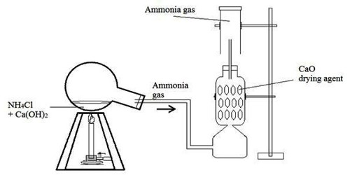 Lab preparation of Ammonia - QS Study