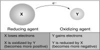 Explain Oxidation and Reduction takes place simultaneously