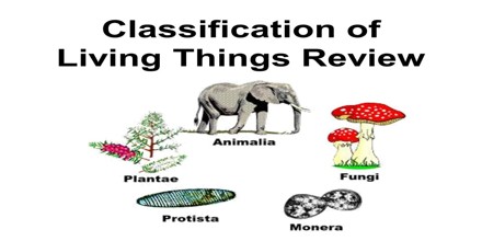 Classification of Living Organisms