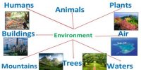 Causes of Environment Pollution