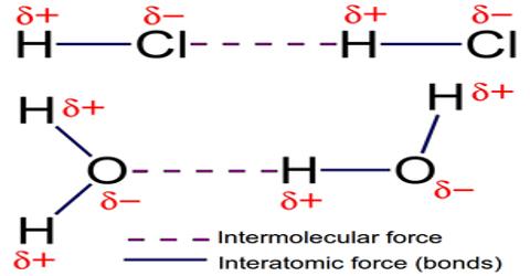 Intermolecular Forces