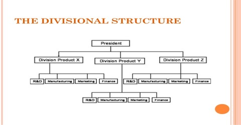 Divisional business plan