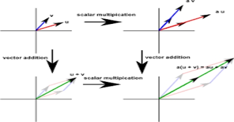 Angular Velocity in Vector Form - QS Study
