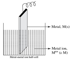 Metal-metal Ion Electrode in Half-Cells 1