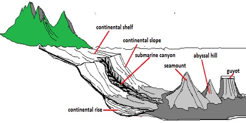 Ocean Floor Configuration Qs Study