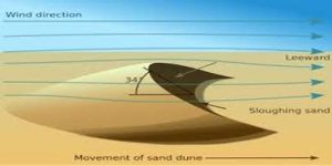 Wind Depositional Landforms QS Study wind-depositional-landforms-qs-study