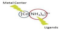 Equilibria of Complex Ions