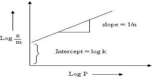 Freundlich Isotherm