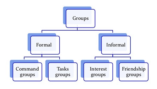 Classification of Group - QS Study
