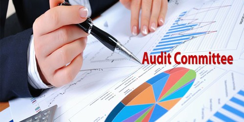 Objectives of the Audit Committee - QS Study
