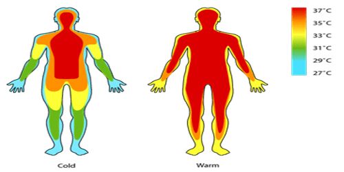 Shell Temperature