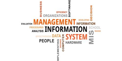 Management Information Systems (MIS)