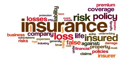 Assess the elements of an Insurance Risk - QS Study