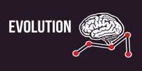 What is Evolution?